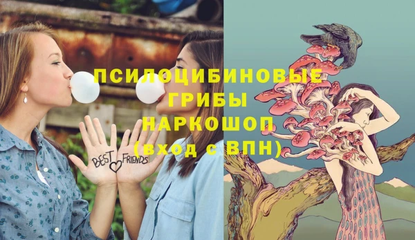 ALPHA-PVP Армянск