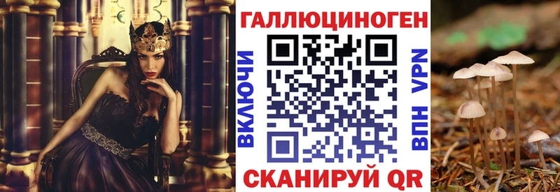 OMG tor  как найти   Рассказово  Галлюциногенные грибы Magic Shrooms 