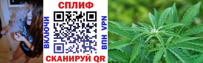 Шишки марихуана планчик Рассказово